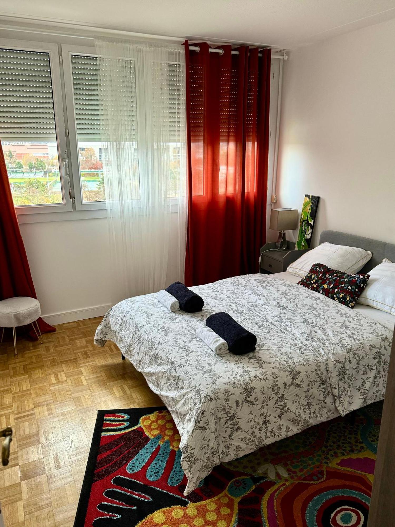 Bergson Top - Appart 80M2, 2 Grandes Chambres, Entierement Renovee Et Equipee, Lumineux, Wifi, Balcon, Calme, Vue Imprenable Сент-Этьен Экстерьер фото